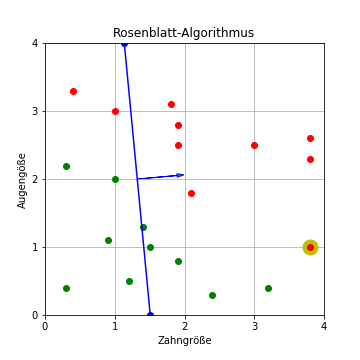 Rosenblatt-Algorithmus